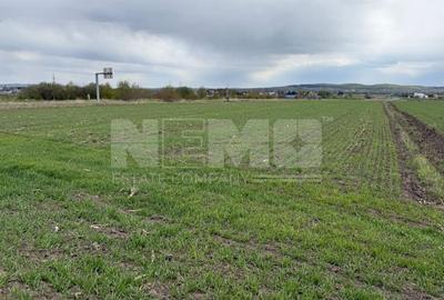 Teren extravilan | Horodnic de Sus – zona Osoi | 50 de Ari - 5