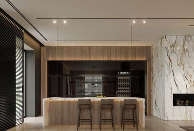 Penthouse spectaculos 358mp | Living 110mp | Terasa 84mp | Vedere Padure Baneasa - 3