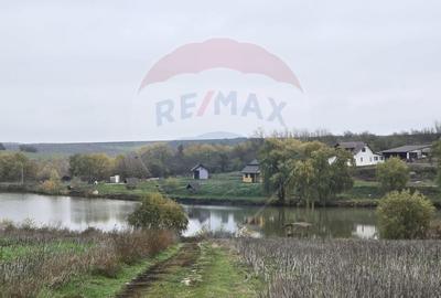 DE VANZARE LAC Pescuit sportiv 6,7ha + TEREN 6,3ha - 1