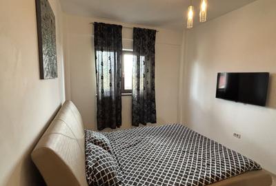 Apartament 2 camere de închiriat în Dumbravita - 5
