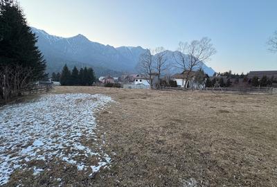 Intravilan 2600 mp - Asfalt - Canal - Apa - Curent - Priveliște superba - 1