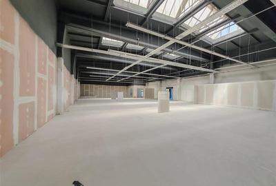 Spatiu comerical pretabil showroom - Sala Fitness - Padel - 5