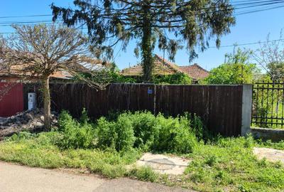 Moara Vlasiei, 320 MP, asfalt+utilitati, urbanism+avize - 35.000 EUR - 1