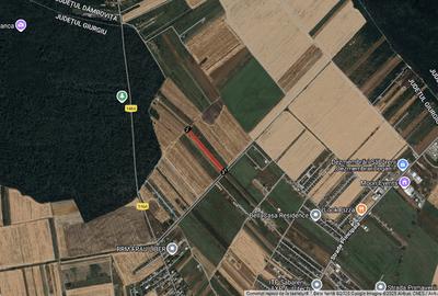 Teren Sabareni linga padure 10 minute pina in Bucuresti - 1