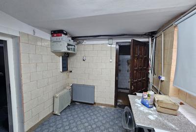 Casă individuală deosebită, P+D, Timișoara, zona Lipovei, aproape de Iulius Mall - 22