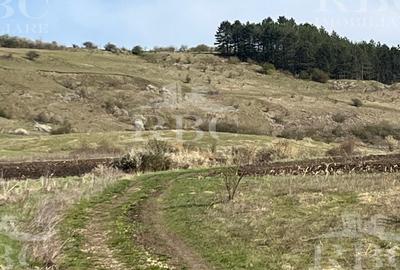 Teren in suprafata de 6300 mp extravilan in Garbau - 8