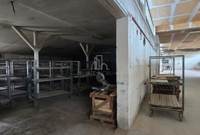 Teren + hale industriale 8785mp + casă–Oportunitate investiție / producție – - 17