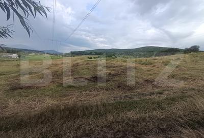 Teren Construcții de 3600 mp, în Podu Oltului