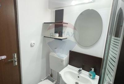 Apartament cu 1 camera de inchiriat in Micalaca - 6