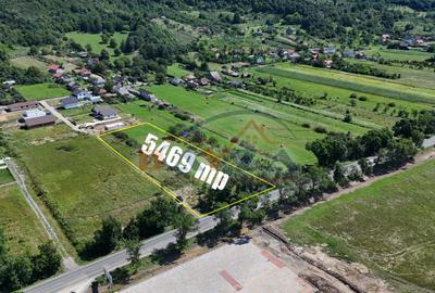 Teren intravilan - 5.469 mp, cu deschidere 44.4 m la DN1C - Cicârlău, Maramu - 4