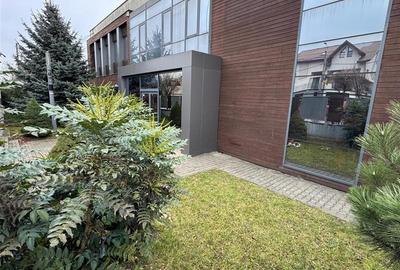 Spatiu de inchiriat S+P+ET., 1200 mp utili  situat in cartierul Dambul Rotund! - 21