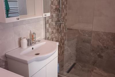 Casa de vanzare in localitatea Balc - 12