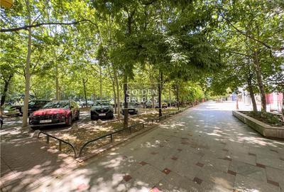 Pta Alba Iulia | Unirii | Prima inchiriere | Parcare disponibila - 29