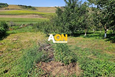 Casă batranească, 3 camere, 2200 mp teren, sat Bucerdea Grânoasă - 14