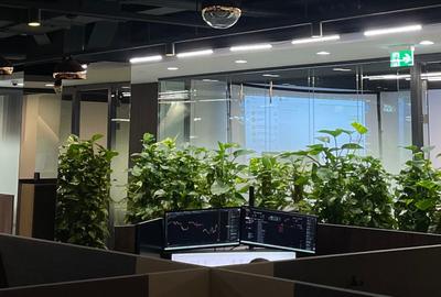 Spațiu de birou individual modern - 2