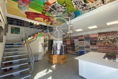SPATIU STRADAL 567 MP - VAD COMERCIAL - PACHE PROTOPOPESCU - 4