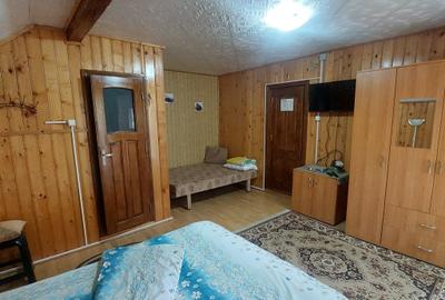 Pensiune turistică de vânzare în Lepșa – o oportunitate unică de afacere - 10