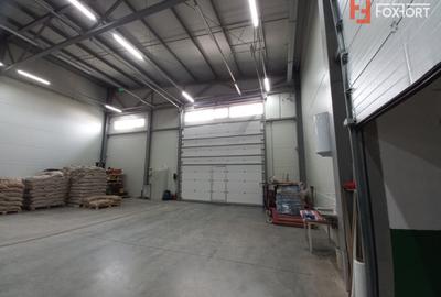 Hala industriala 572 mp, teren 1.615 mp - Zona Sud Timisoara - 4