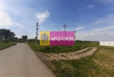 Teren construcție casă - 1 Decembrie - Zona Metropolitană București - 20
