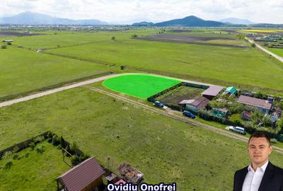 BRASOV - HARMAN - LOT DE COLT 1000 MP TOTAL - 1