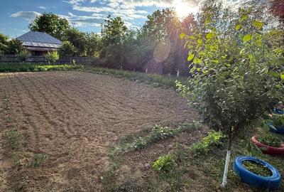 Teren Intravilan în Bâlteni – Oază de liniște și natură, aproape de centru - 1