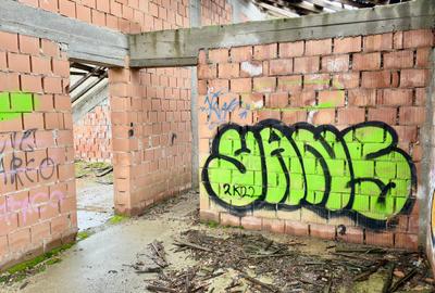 Vila Individuala S+P+1+M cu Teren 1000mp langa Padure - Balotesti - 43