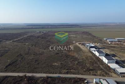 Teren de vanzare cu autorizatie pentru 2 hale - Otopeni - 10.000 mp - 9