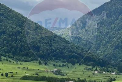 Teren 4,145mp Predelut / Strada Magurii - 4