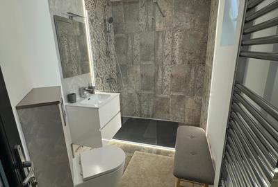 Studio 43 mp Zona Dacia Mobilat Totul Nou Primul Chirias Gaze - 25