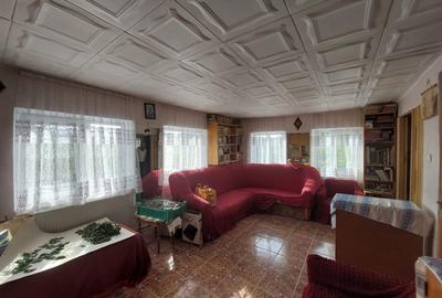 PROPRIETATE SUPERBA IN BIBIRESTI - 18