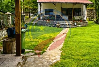 Pensiune cocheta de vanzare- Dubova-pe malul Dunării - 1