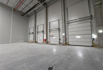 Spatiu Industrial - 3500 mp - Logistica - Productie - Depozitare - Distributie - 4