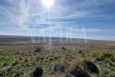 Teren extravilan agricol de vanzare in Iris, Cluj Napoca - 4