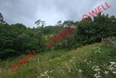 De vânzare teren extravilan loc. Sărămaș, com. Barcani - 3