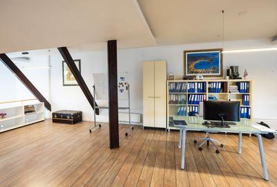 DOMENII-SPATII GENEROASE-DISPONIBIL IMEDIAT - 11