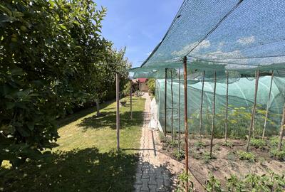 Casa individuala de vanzare 200mp, 7 camere, , Alba Iulia, cetate ultracentral - 3