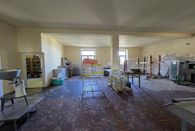 Cenad-Posibilitate Afacere-casa si 669mp teren-Ultracentral - 5