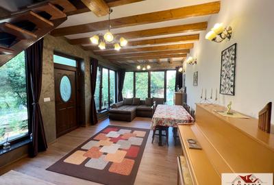 Casa de vanzare in Alba Iulia - Micesti - 2