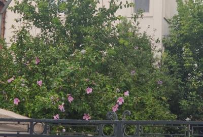 Apartament cu 3 camere decomandat în Unirii