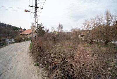 Teren intravilan de 900 mp, Podgoria - 6