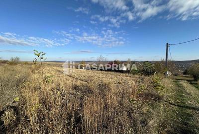 Teren Construcții extravilan de 3000 mp, în Șorogari