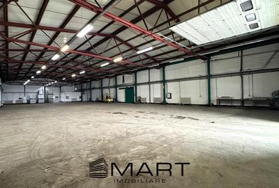 Hala 850mp zona industriala Vest - 3