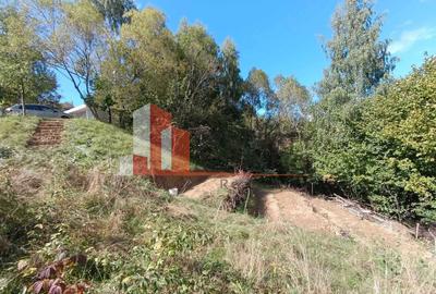 Teren 1.750 mp Bran – Poarta |Autorizatie si Fundatie | Utilități complete - 4