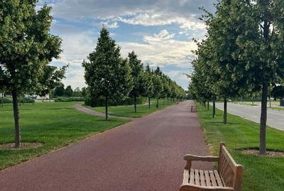 Dumbrava Vlasiei - teren 923 mp - latura comuna cu padurea - 1