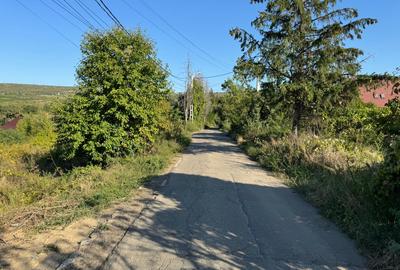 Vanzare Teren Intravilan 560 mp PUZ Bucium Casa Boiereasca - 2
