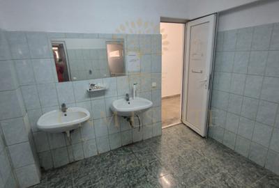 Inchiriere Hala sector 3 pretabila service auto - 4