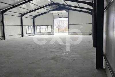 HALĂ INDUSTRIALĂ DE ÎNCHIRIAT – ANINOASA, DÂMBOVIȚA - 3