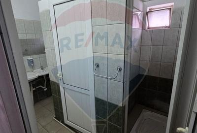 Ansamblu casa de locuit, hala productie ,spatiu de birouri si teren - 9