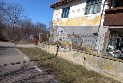 Două case de vânzare – Cerisor – teren generos 6996 mp - 2