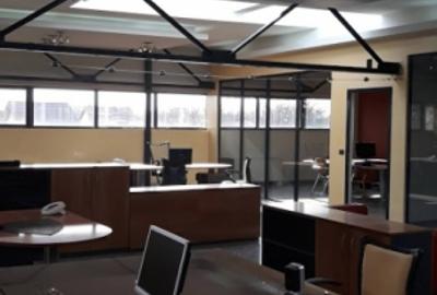 Bucurestii Noi - 2 Cocosi, Office supr. utila 250mp - 17